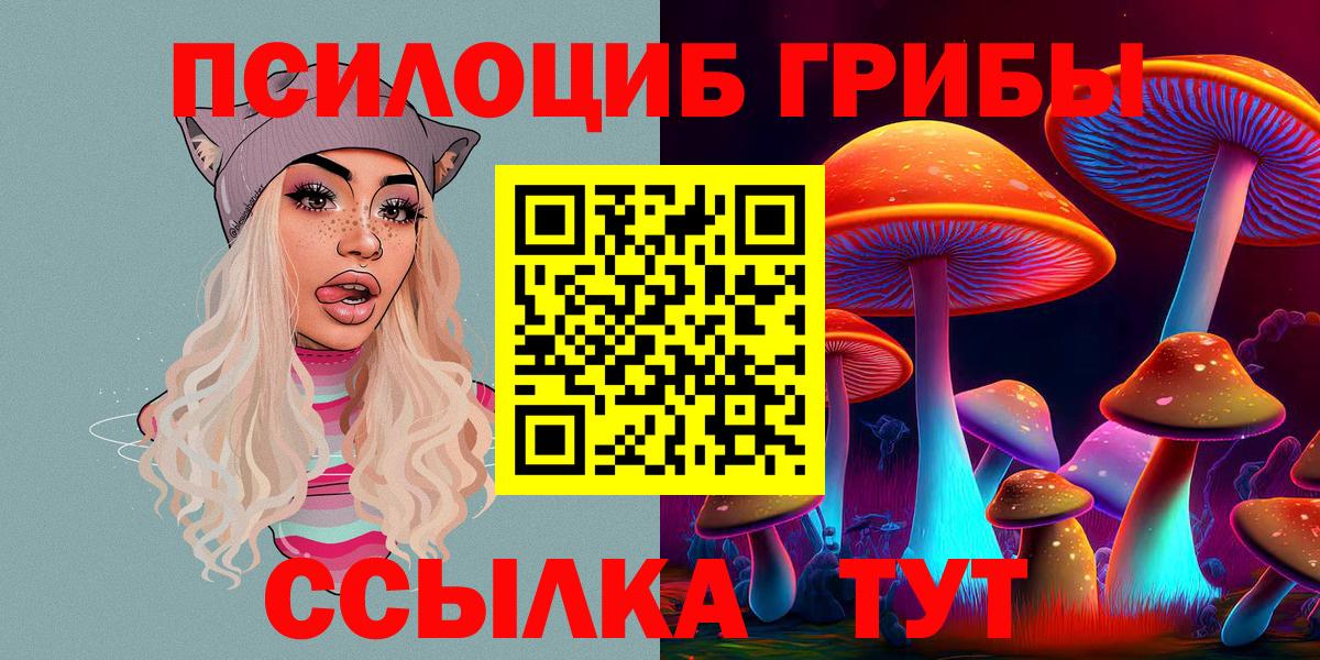 Галлюциногенные грибы прущие грибы  Вход с VPN  Нефтеюганск  Галлюциногенные грибы Psilocybine cubensis 